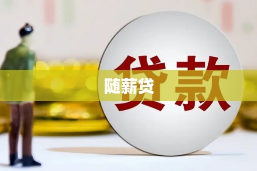 文水随薪贷