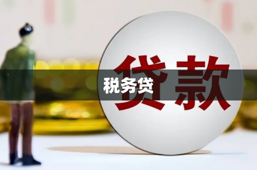 文水税务贷
