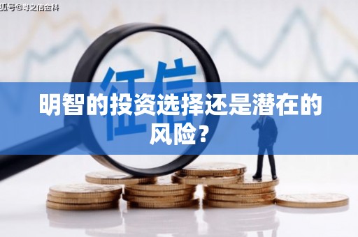 文水明智的投资选择还是潜在的风险？