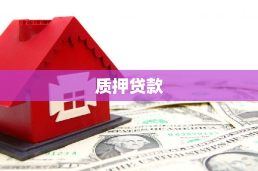 文水质押贷款