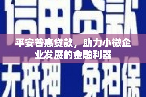 文水平安普惠贷款，助力小微企业发展的金融利器