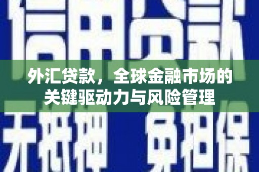 文水外汇贷款，全球金融市场的关键驱动力与风险管理