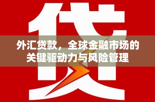 文水外汇贷款，全球金融市场的关键驱动力与风险管理
