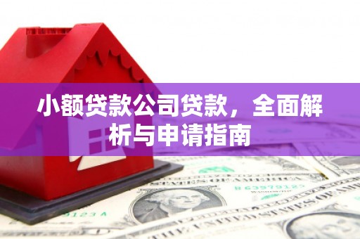 文水小额贷款公司贷款，全面解析与申请指南