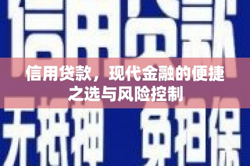 文水信用贷款，现代金融的便捷之选与风险控制