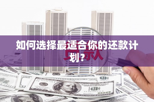 文水如何选择最适合你的还款计划？