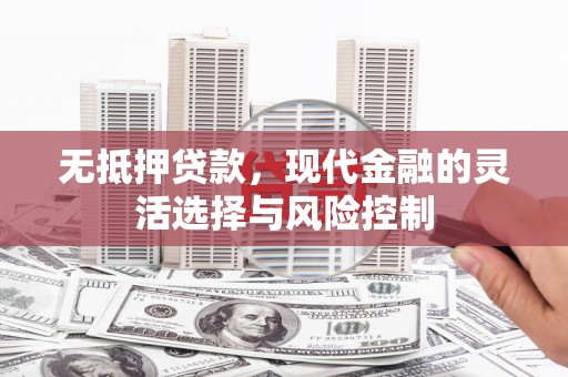 文水无抵押贷款，现代金融的灵活选择与风险控制