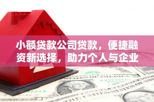 文水小额贷款公司贷款，便捷融资新选择，助力个人与企业成长