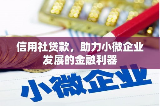 文水信用社贷款，助力小微企业发展的金融利器