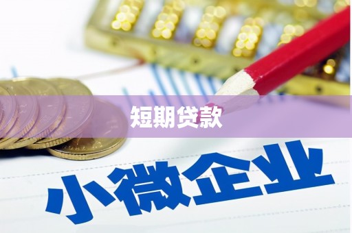 文水短期贷款