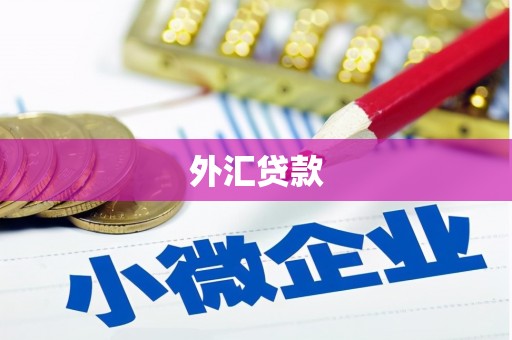 文水外汇贷款