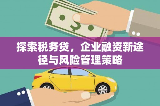 文水探索税务贷，企业融资新途径与风险管理策略