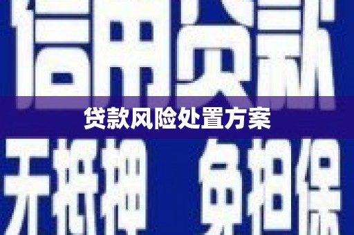 文水贷款风险处置方案