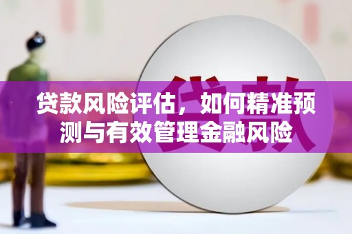 文水贷款风险评估，如何精准预测与有效管理金融风险