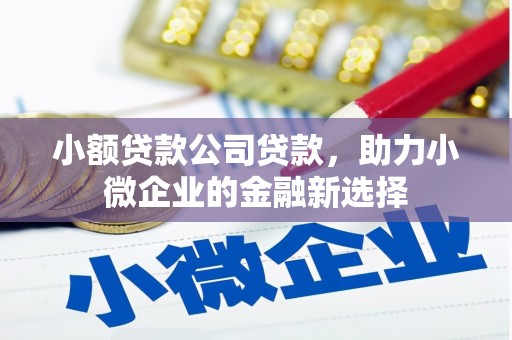 文水小额贷款公司贷款，助力小微企业的金融新选择