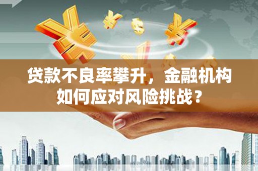 文水贷款不良率攀升，金融机构如何应对风险挑战？
