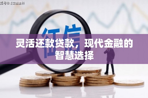 文水灵活还款贷款，现代金融的智慧选择