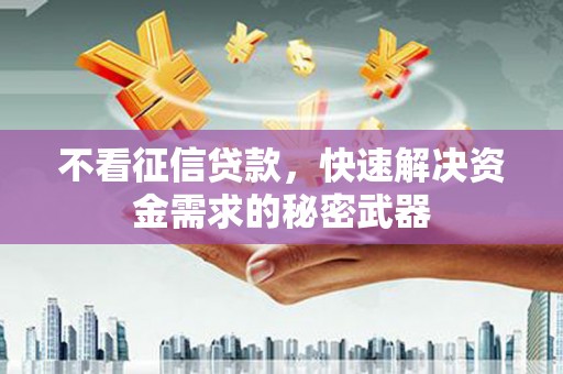 文水不看征信贷款，快速解决资金需求的秘密武器