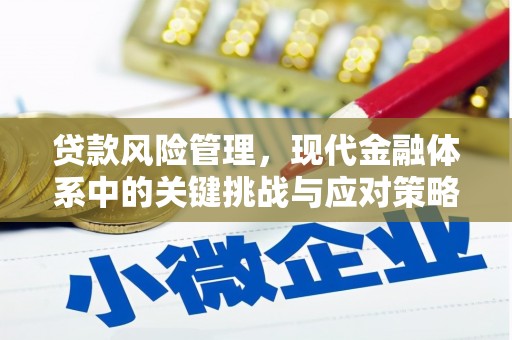 文水贷款风险管理，现代金融体系中的关键挑战与应对策略