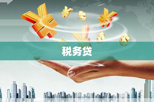 文水税务贷