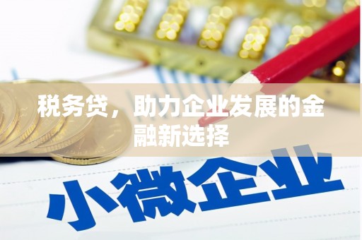文水税务贷，助力企业发展的金融新选择