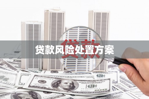 文水贷款风险处置方案