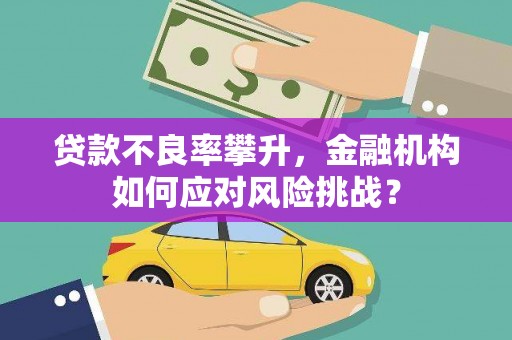 文水贷款不良率攀升，金融机构如何应对风险挑战？