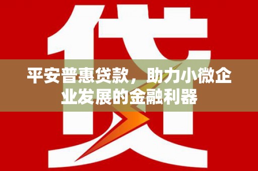 文水平安普惠贷款，助力小微企业发展的金融利器