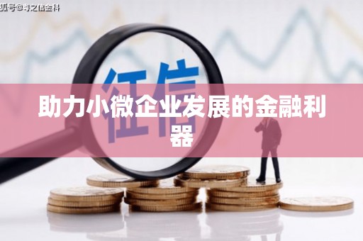 文水助力小微企业发展的金融利器