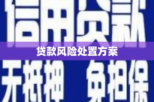 文水贷款风险处置方案