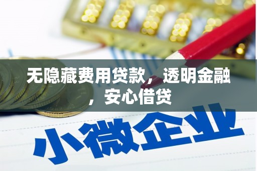 文水无隐藏费用贷款，透明金融，安心借贷