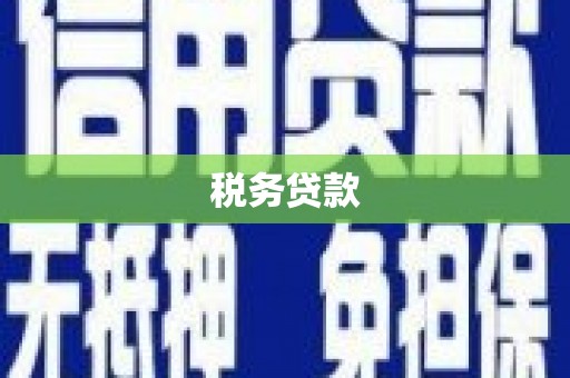 文水税务贷款