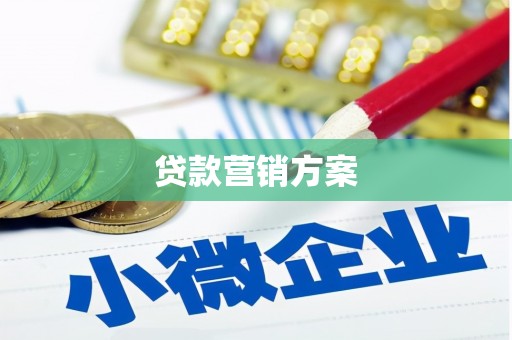 文水贷款营销方案