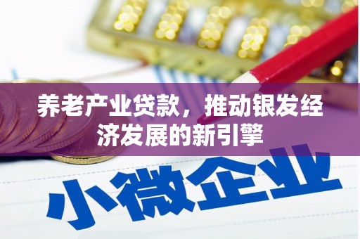 文水养老产业贷款，推动银发经济发展的新引擎