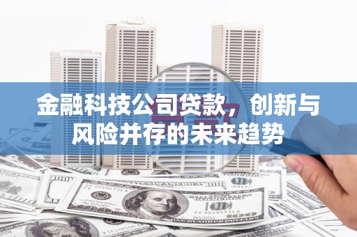 文水金融科技公司贷款，创新与风险并存的未来趋势
