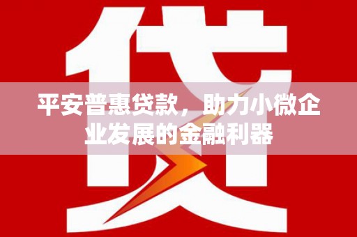 文水平安普惠贷款，助力小微企业发展的金融利器