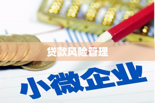 文水贷款风险管理