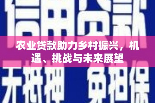 文水农业贷款助力乡村振兴，机遇、挑战与未来展望