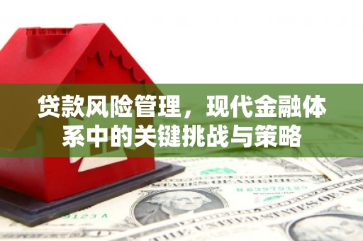 文水贷款风险管理，现代金融体系中的关键挑战与策略