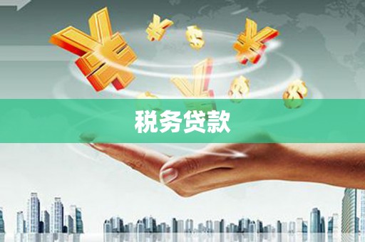 文水税务贷款