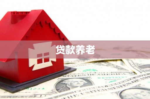 文水贷款养老