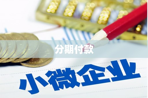 文水分期付款