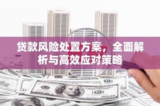 文水贷款风险处置方案，全面解析与高效应对策略