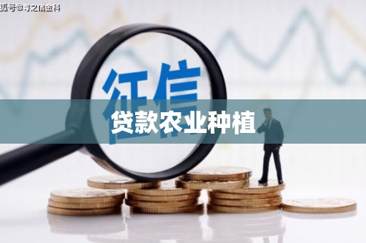 文水贷款农业种植