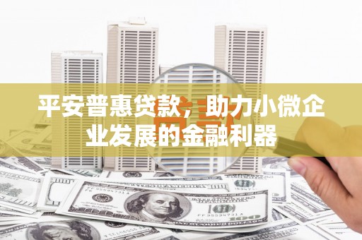文水平安普惠贷款，助力小微企业发展的金融利器