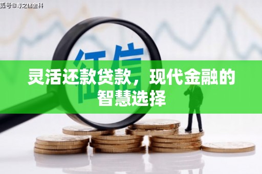 文水灵活还款贷款，现代金融的智慧选择