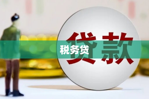 文水税务贷