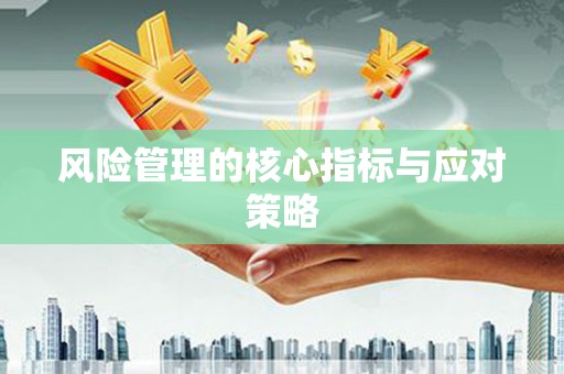 文水风险管理的核心指标与应对策略