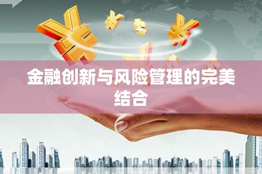 文水金融创新与风险管理的完美结合