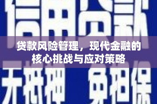 文水贷款风险管理，现代金融的核心挑战与应对策略